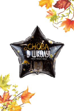 Звезда «Снова в школу»