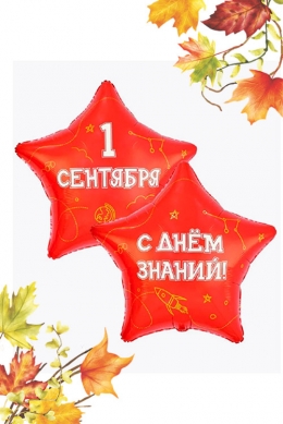 Звезда «1 сентября, С Днем знаний»  32